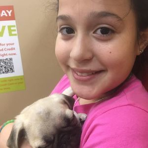 Meet your Posher, Luz